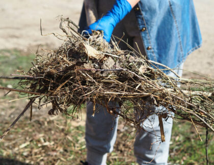 The Importance of Raking: Removing Debris and Promoting Growth